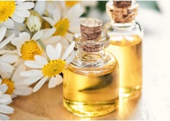 TINH DẦU HOA CÚC LA MÃ TỰ NHIÊN