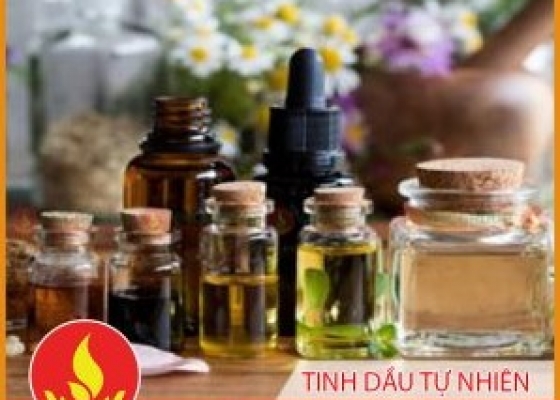 TINH DẦU TỰ NHIÊN || VMC