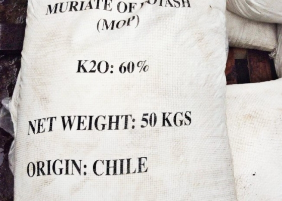 PHÂN KALI CLORUA || KCL POTASSIUM CHLORIDE || HÓA CHẤT NÔNG NGHIỆP