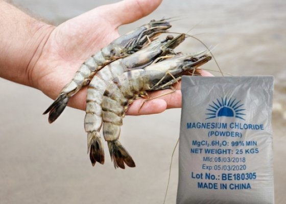 MAGIE CLORUA || MAGNESIUM CHLORIDE || MGCL2 || HÓA CHẤT CÔNG NGHIỆP
