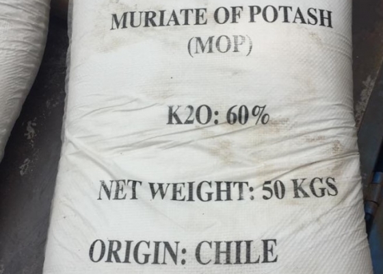 KALI CLORUA CHILE
