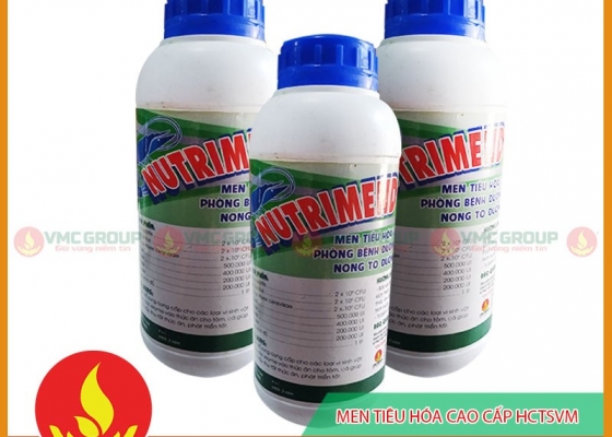 NUTRIMEND GOLD || MEN TIÊU HÓA  || HÓA CHẤT THỦY SẢN