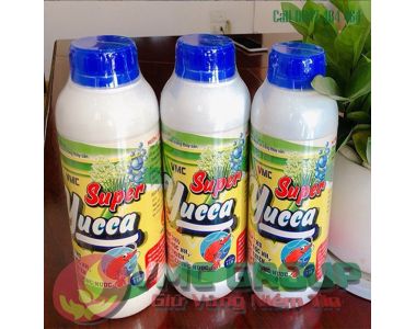 SUPER YUCCA VMC || HÓA CHẤT THỦY SẢN