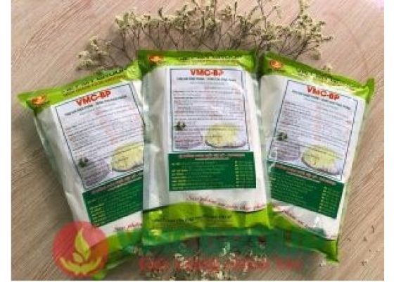 vmc-bp-cai-thien-cau-truc-san-pham-tu-tinh-bot-bun-mi-pho